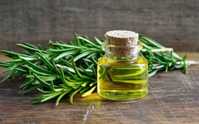 Olio di rosmarino per capelli forti e sani